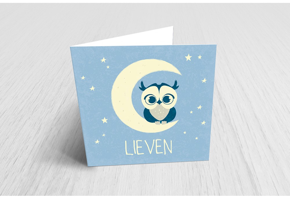 Uiltje op de maan Uiltje op de maan